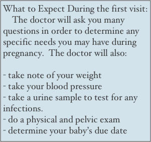 What to Expect During the first visit:
    The doctor will ask you many questions in order to determine any specific needs you may have during pregnancy.  The doctor will also:

- take note of your weight
- take your blood pressure
- take a urine sample to test for any infections.
- do a physical and pelvic exam
- determine your baby’s due date 



